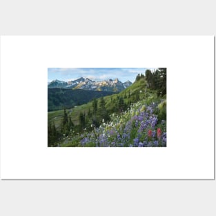 Wildflowers And Tatoosh Range Mount Rainier National Park Posters and Art
